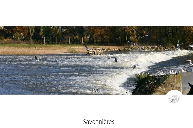 savonnières-04.jpg
