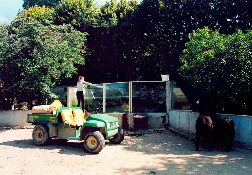 Parc animalier du Reynou (87)