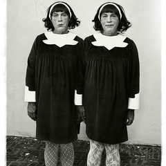 Diane Arbus   Identical Twins, Roselle, New Jersey (1967), 2014