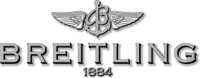 Logo 299.GIF